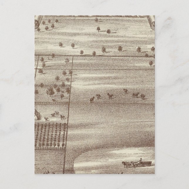 Carte Postale  Ranch Oakdale (Devant)