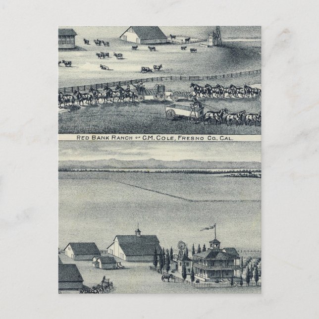 Carte Postale Ranches Cole (Devant)