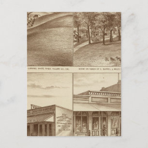 Carte Postale Ranches et bureaux du comté de Tulare