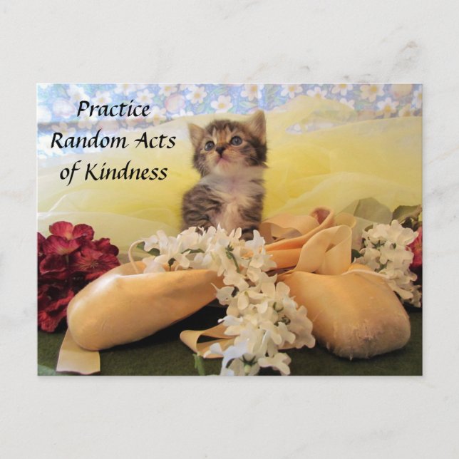 Carte postale Random Act - Ballerina Cat (Devant)