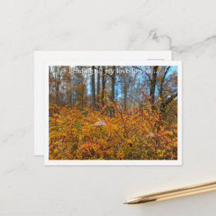 Carte Postale Randonnée dans une forêt d'automne vibrante - Feui