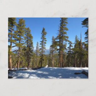 Carte Postale Randonnée de Mitchell Peak à Sequoia