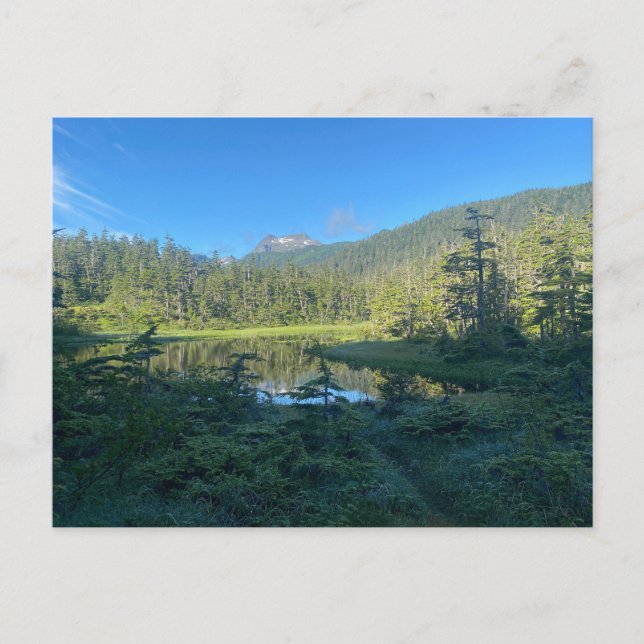 Carte Postale Randonnée D'Été À Travers La Forêt Verdoyante Cart (Devant)