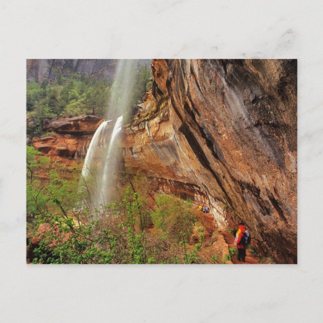 Carte Postale Randonnée sur le sentier Emerald Pools à Zion Nati (Devant)