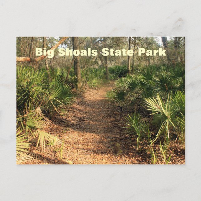 Carte Postale Randonnée Trail, Big Shoals State Park, Floride (Devant)
