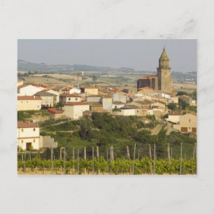 Carte Postale Rangées de vignes au premier plan cadre le