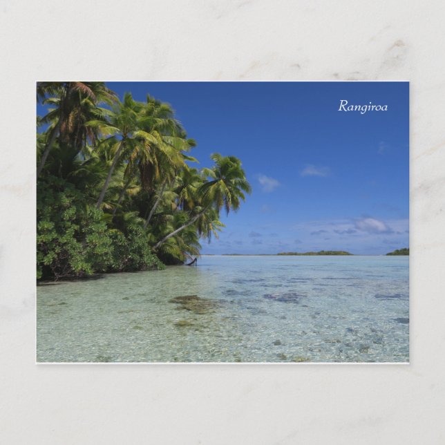 Carte Postale Rangiroa Blue Lagoon Polynésie française (Devant)