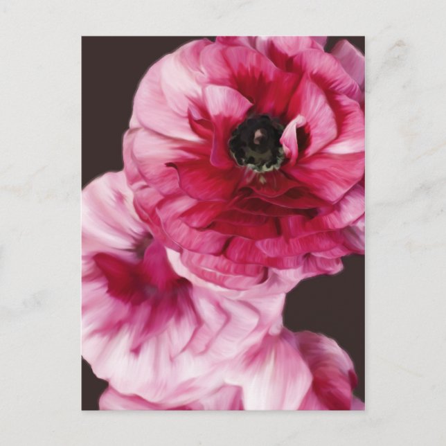 Carte Postale Ranunculus rouge (Devant)