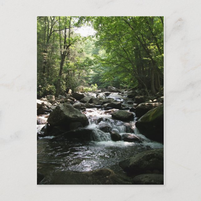 Carte Postale Rapides (Devant)