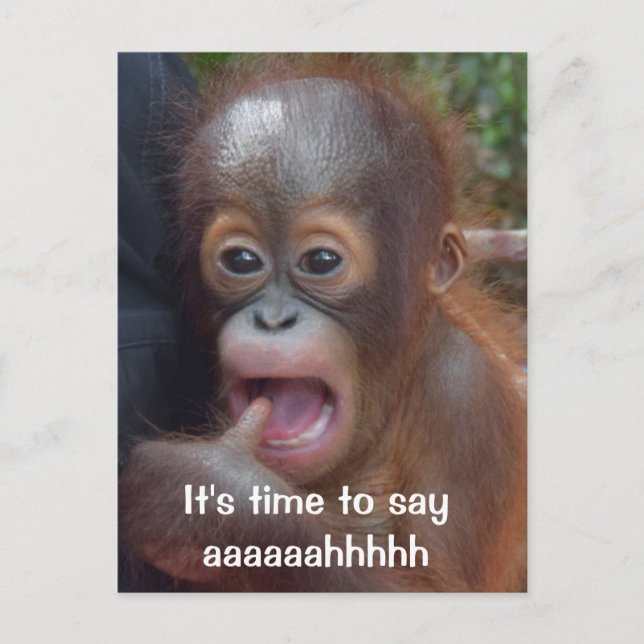 Carte Postale Rappel de rendez-vous amusant pour dentiste (Devant)