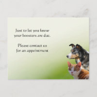 Rappel de vaccination pour animaux familiers