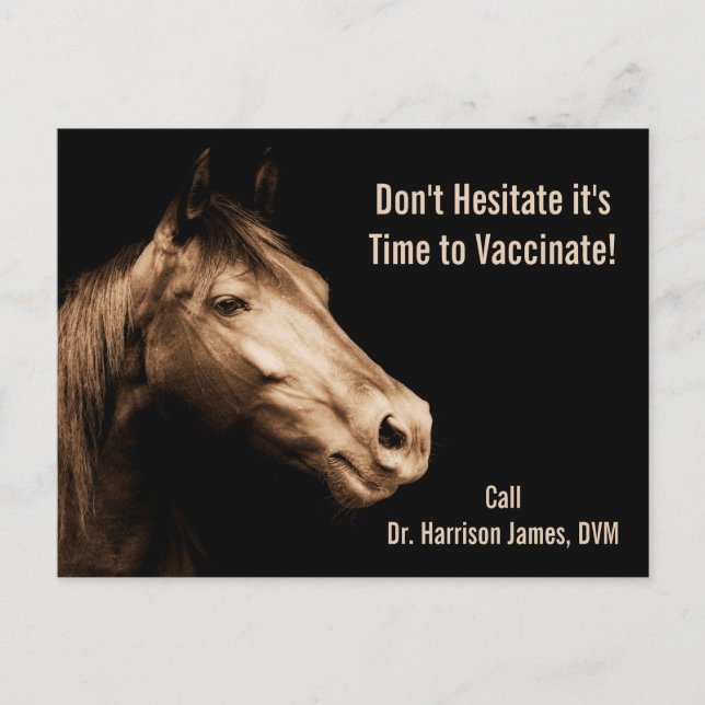 Carte Postale Rappel de vaccination vétérinaire pour les chevaux (Devant)