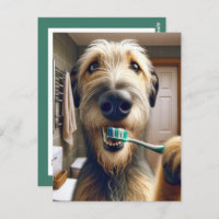 Rappel de Wolfhound irlandais de l'Office vétérina