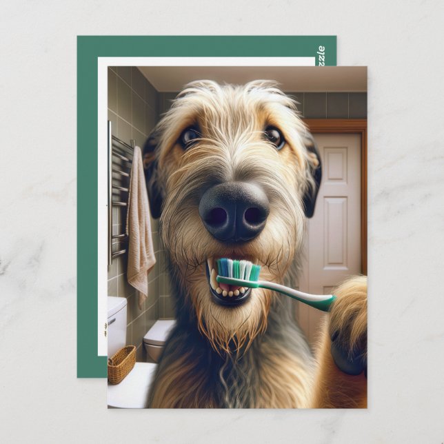 Carte Postale Rappel de Wolfhound irlandais de l'Office vétérina (Devant / Derrière)