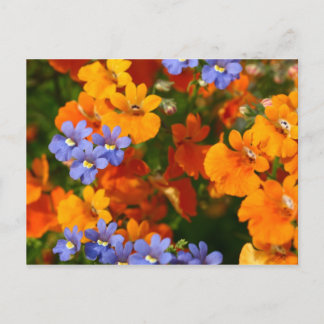 Carte Postale Rappel du printemps