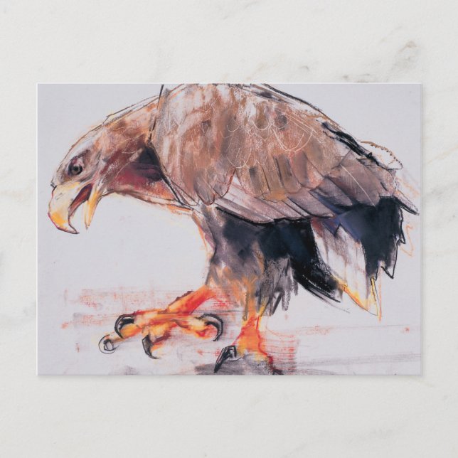 Carte Postale Raptor 2001 (Devant)