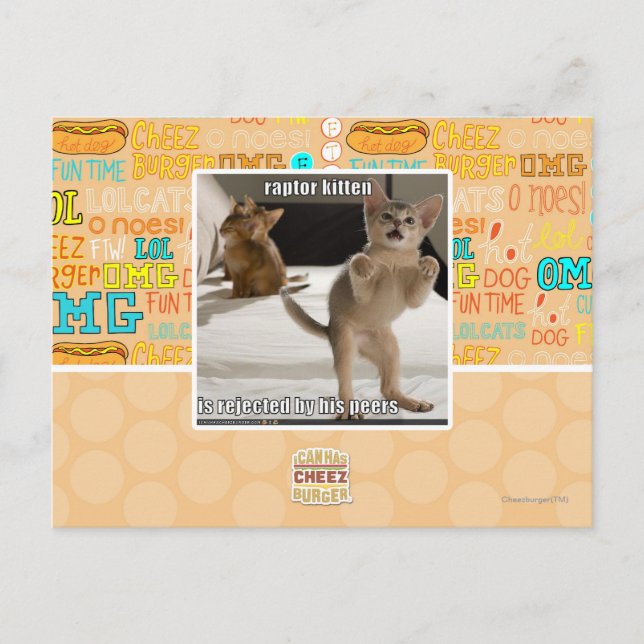 Carte Postale Raptor Kitten (Devant)