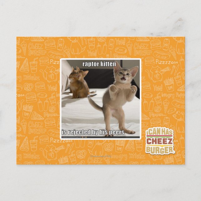 Carte Postale Raptor Kitten (Devant)