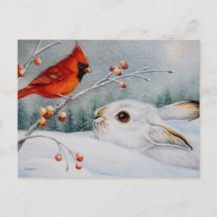Carte Postale Raquette à neige Rabbit & Red Cardinal Bird Aquare
