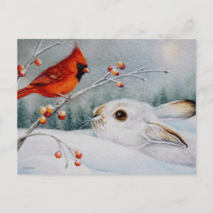 Carte Postale Raquette à neige Rabbit & Red Cardinal Bird Aquare