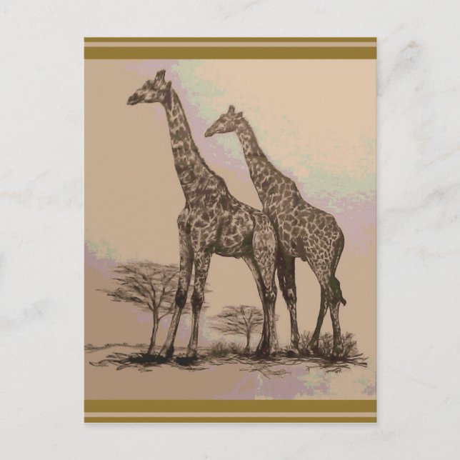 Carte Postale Rare Giraffes africaines rétro en Sepia & Pastels (Devant)