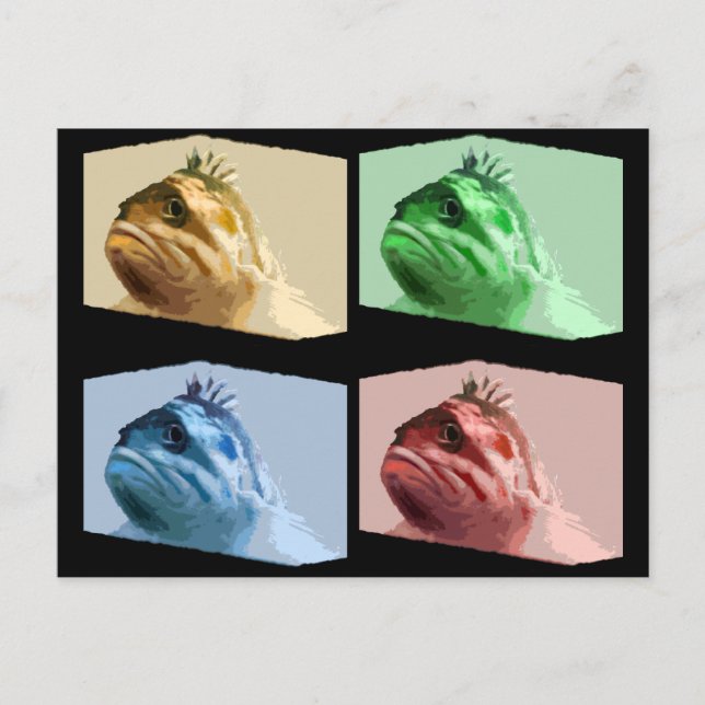Carte Postale Rascasse douteuse quatre couleurs (Devant)