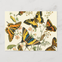 Rassemblement coloré de papillons et de chenilles