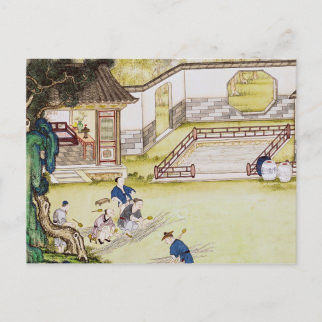 Carte Postale Rassembler du bambou pour faire du papier (Devant)