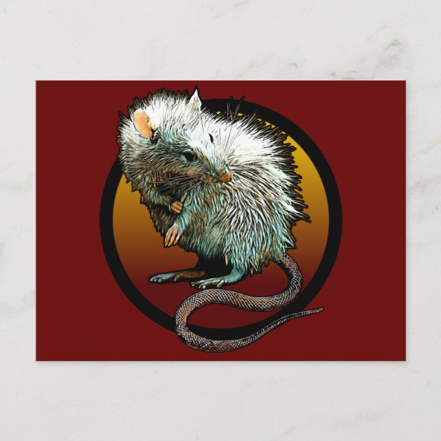 Carte Postale Rat Boi (Devant)
