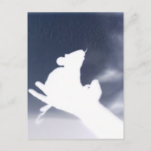 Carte Postale Rat d'ombre