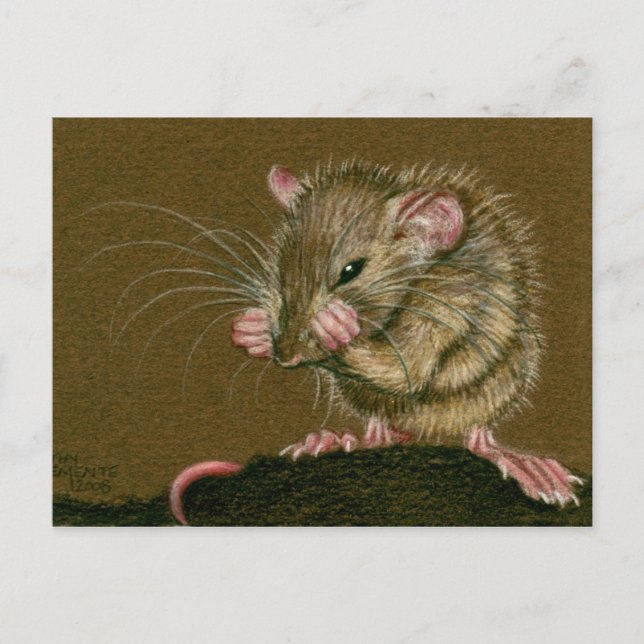 Carte Postale Rat Mad Paks Up (Devant)