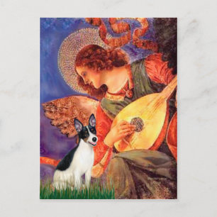 Carte Postale Rat Terrier - Mandolin Angel