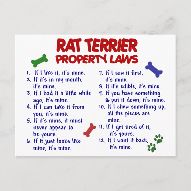 Carte Postale RAT TERRIER, propriété Lois 2 (Devant)