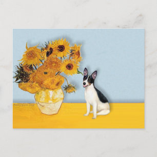 Carte Postale Rat Terrier - Tournesols