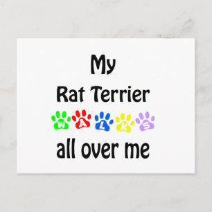 Carte Postale Rat Terrier Walks Design