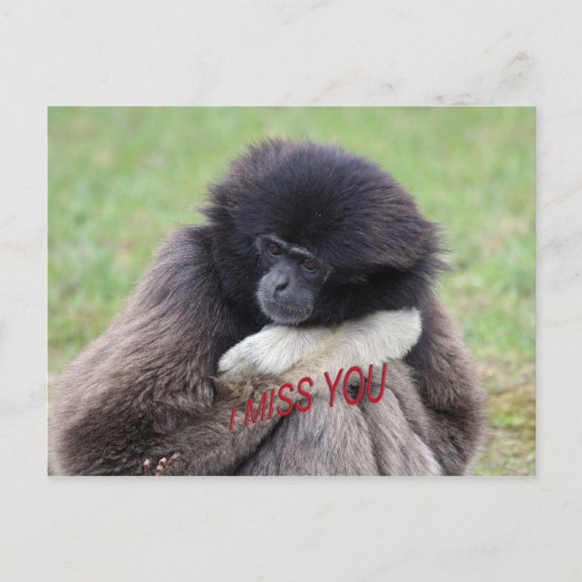 Carte Postale rater (Devant)