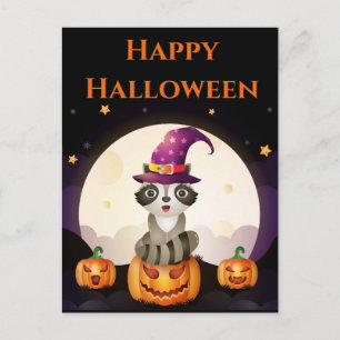 Carte Postale Raton laveur magicien