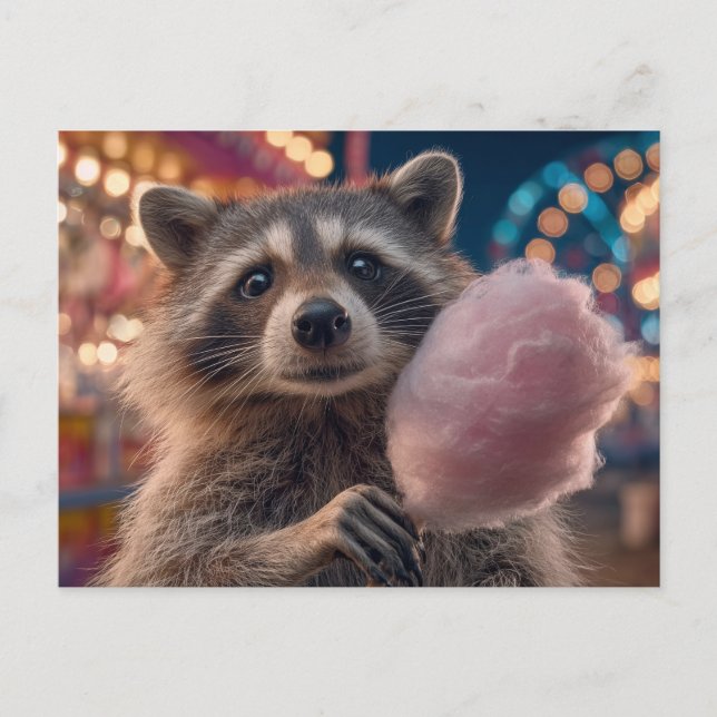 Carte Postale Raton laveur mangeant de la barbe à papa dans un p (Devant)