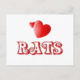 Carte Postale Rats
