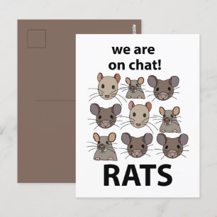 Carte Postale Rats Animal Nous Sommes Sur Conversation Rats Drôl