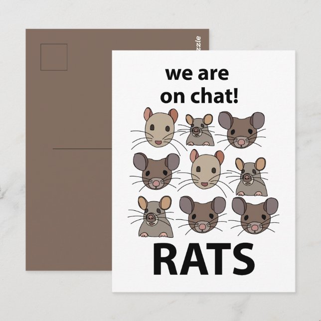 Carte Postale Rats Animal Nous Sommes Sur Conversation Rats Drôl (Devant / Derrière)
