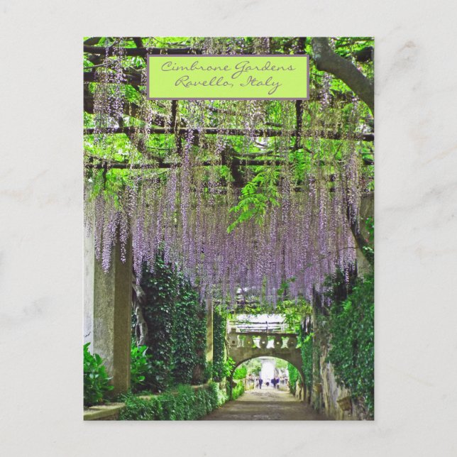 CARTE POSTALE RAVELLO, ITALIE/JARDINS DE CIMBRONE/WISTERIA DE CA (Devant)