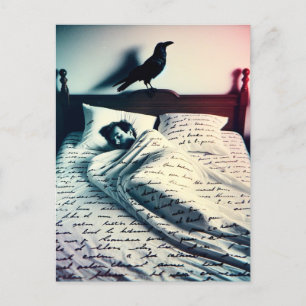 Carte Postale Raven regarde sur l'homme endormi