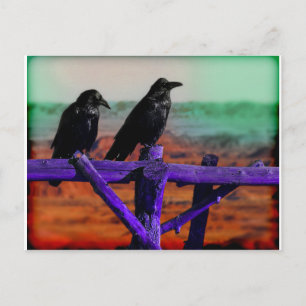 Carte Postale Ravens