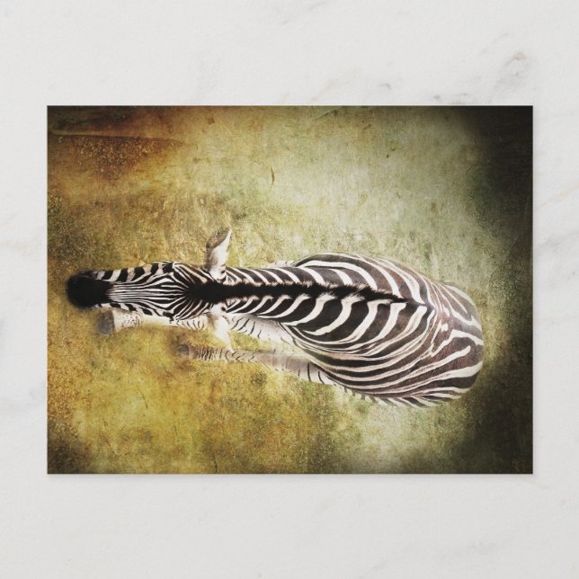 Carte Postale Rayures (Devant)