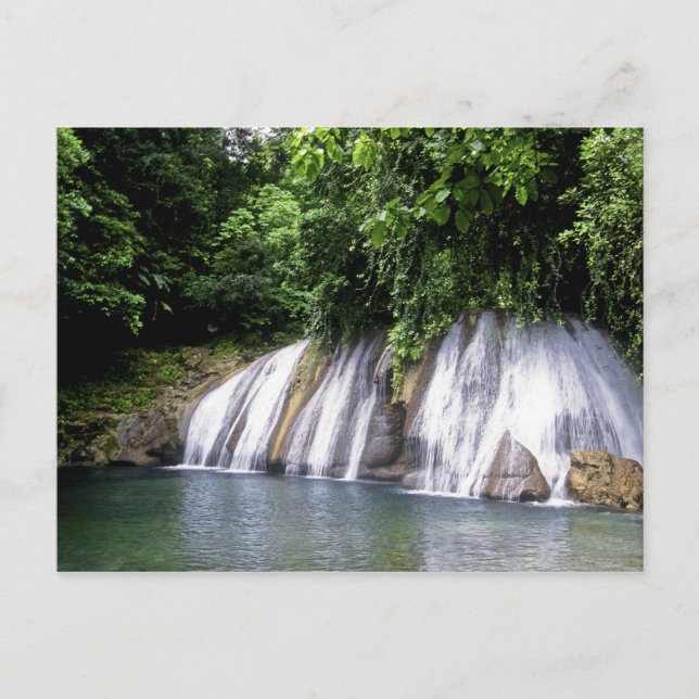 Carte Postale Reach Falls, Port Antonio, Jamaïque (Devant)