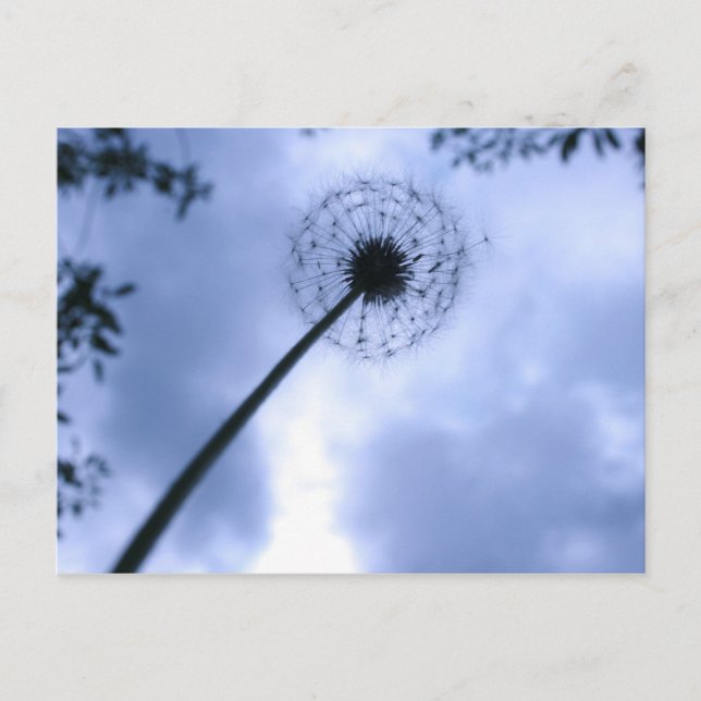 Carte Postale Réaliser les désirs (Devant)