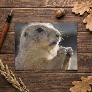 Carte Postale Realistic Natural Profile Groundhog Paws Up Photo