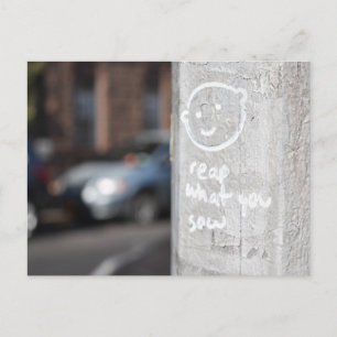 Carte Postale Reap What You Sow New York City Graffiti Photo NYC