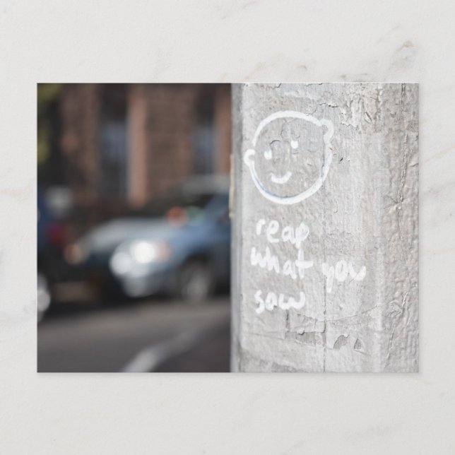 Carte Postale Reap What You Sow New York City Graffiti Photo NYC (Devant)